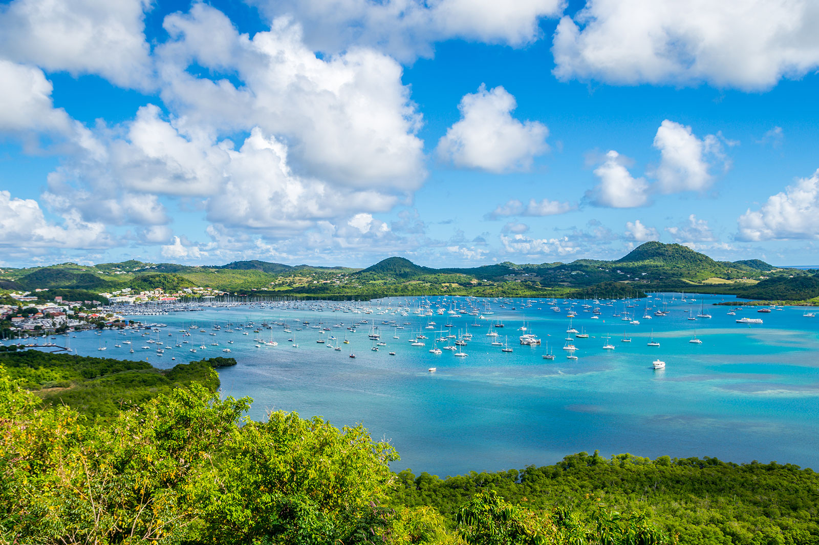A marina filled with sailboats beneath a wide Caribbean sky